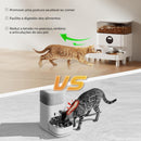 Dispensador automático de ração para cães e gatos Com tigelas duplas bidi